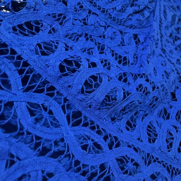 Lilly Pulitzer Blue Foley Dress - Picture 12 of 15